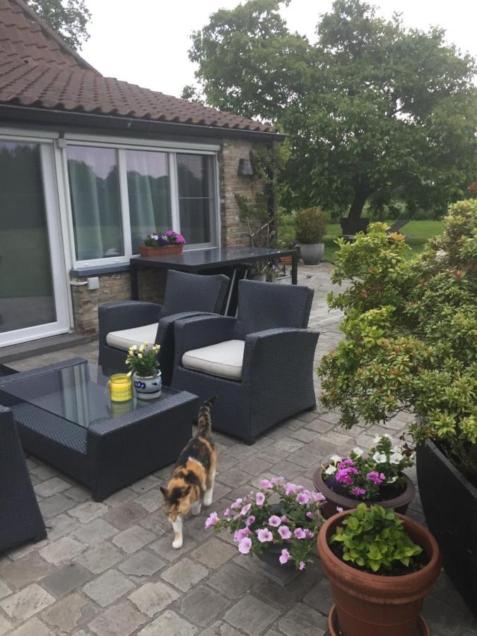 Logies De Meerkoet Brügge Exterior foto