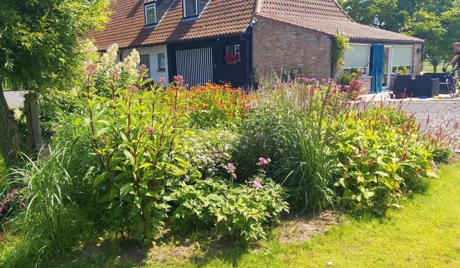Logies De Meerkoet Brügge Exterior foto
